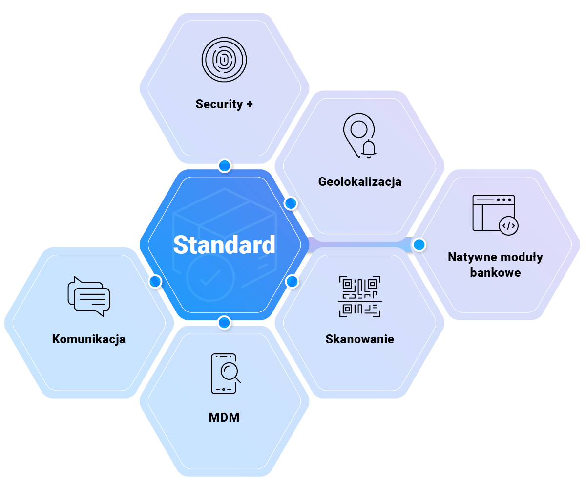 rozwiązanie standard