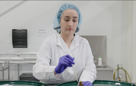 Wdrożenie w Jar Aromaty