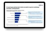 Zobacz fragmenty raportu zanim pobierzesz pełną wersję!