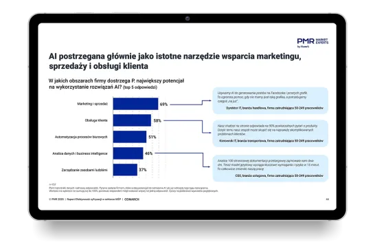 Zobacz fragmenty raportu zanim pobierzesz pełną wersję!