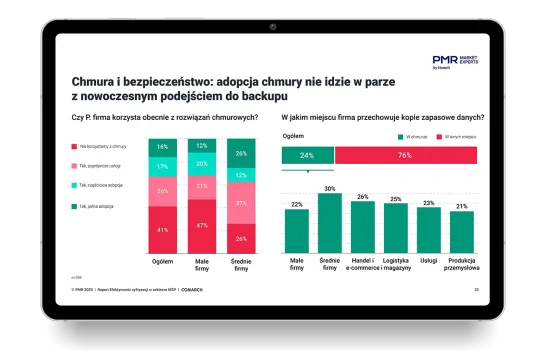 Zobacz fragmenty raportu zanim pobierzesz pełną wersję!