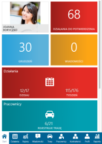 planowanie tras przedstawicieli handlowych - interfejs programu