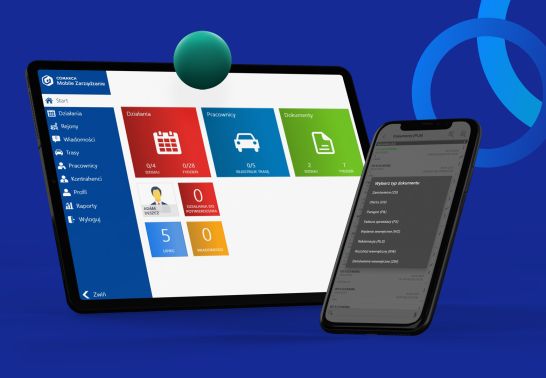 planowanie tras przedstawicieli handlowych - interfejs programu